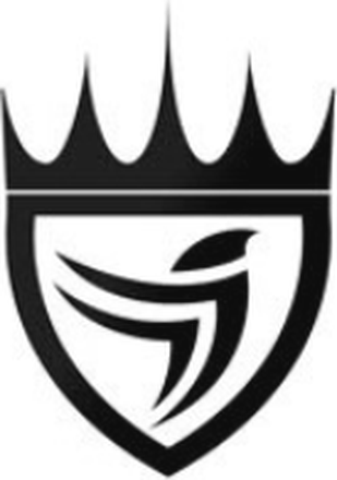 Dream Chasers Today logo
